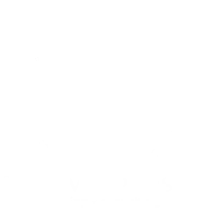 Metamorphosis coaching + consulting