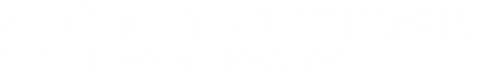Metamorphosis coaching + consulting